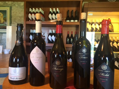 Istria wine tour