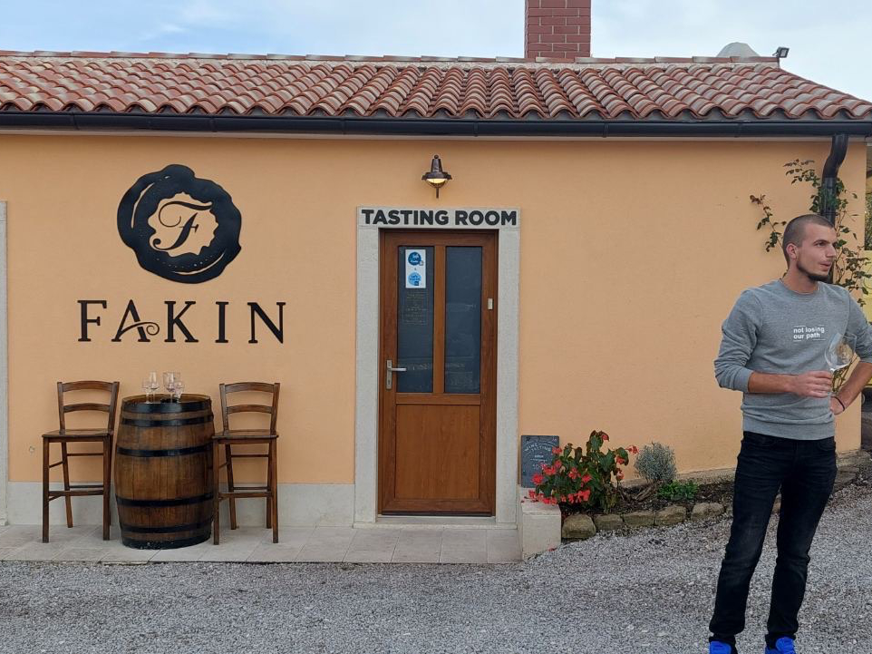 Istria wine tour